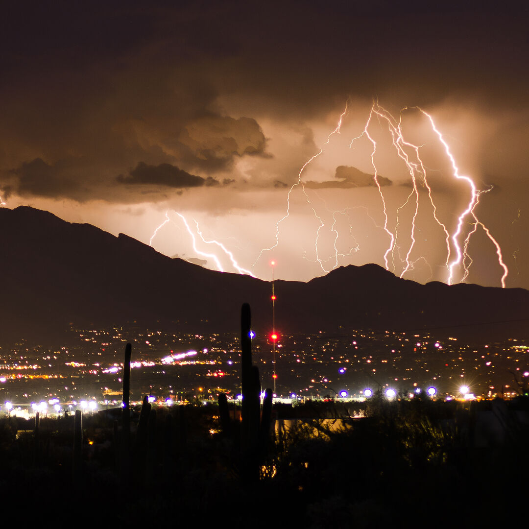 Rosie on the House: Whole-home surge protection keeps elections safe